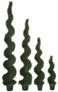 10 Foot Ultraviolet (UV) Pond Cypress Spiral Topiary